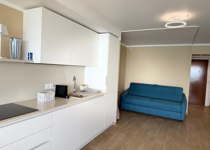 Azur Promenade 公寓 尼斯